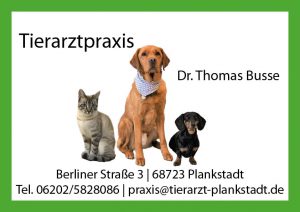 Tierarztpraxis Dr. Thomas Busse