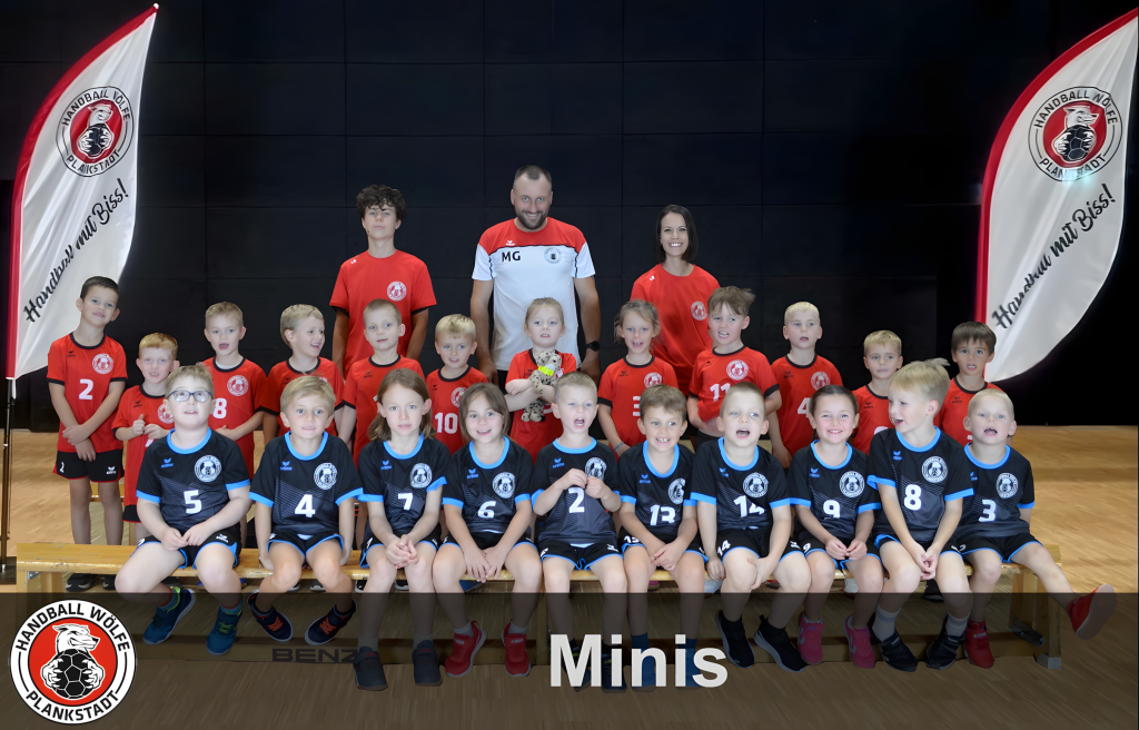 02 Minis neu